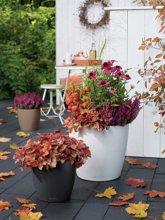 Lechuza CLASSICO Color Self-watering Planter - Image 3