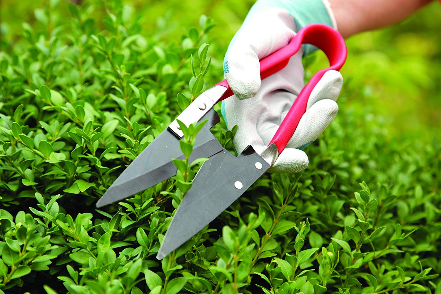 Spear & Jackson 4755TS Razorsharp Compact Topiary Shear - Image 2