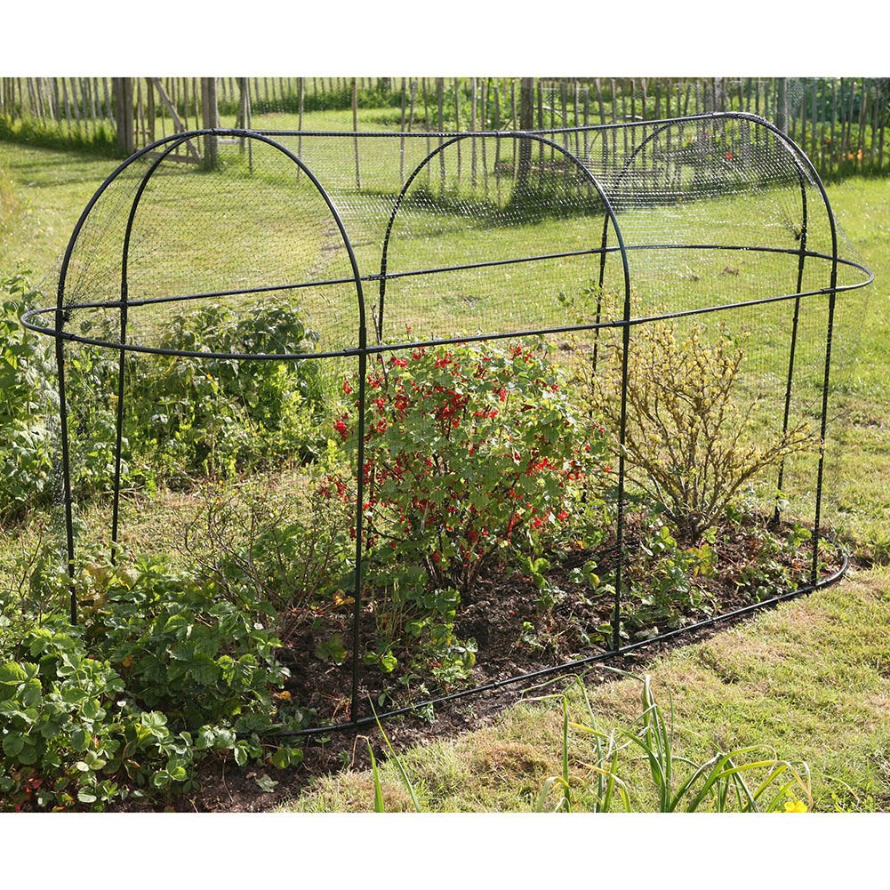 Haxnicks Steel Long Fruit Cage Frame, Black, 200x100x150 cm - Image 2