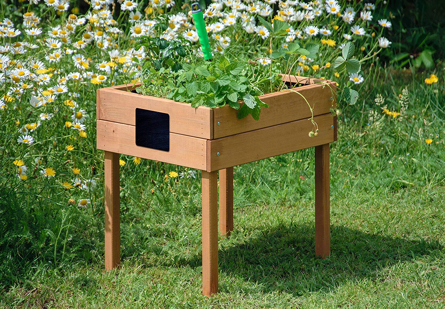 dobar® 58510FSC Children's Raised Bed with Chalkboard, Mini Raised Bed Wood, Raised Planter for Children Salad Bed on Stilts - Image 3