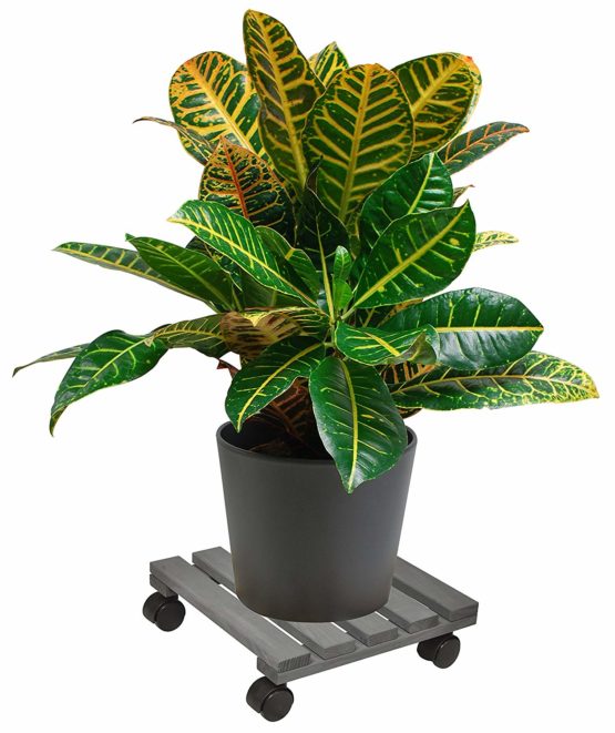 WAGNER Plant trolley NATURE 29 x 29 x 8 cm I Flower trolley for indoor use I Container trolley made of FSC®-certificated solid wood, charcoal I Load capacity 100 kg I Made in EU - 20015901 - Image 2