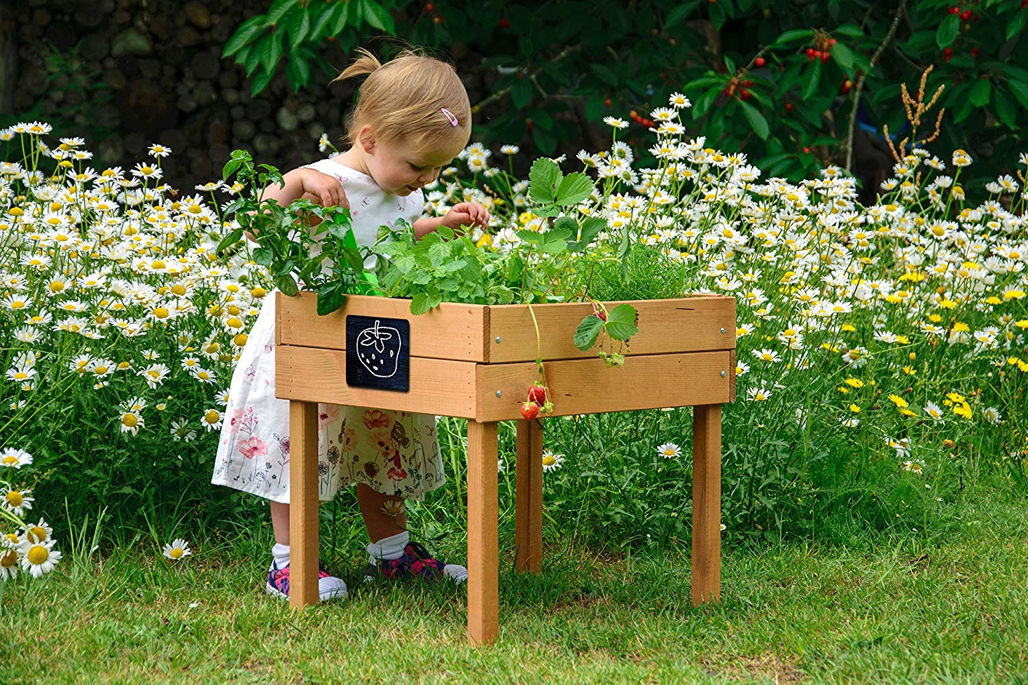 dobar® 58510FSC Children's Raised Bed with Chalkboard, Mini Raised Bed Wood, Raised Planter for Children Salad Bed on Stilts - Image 4