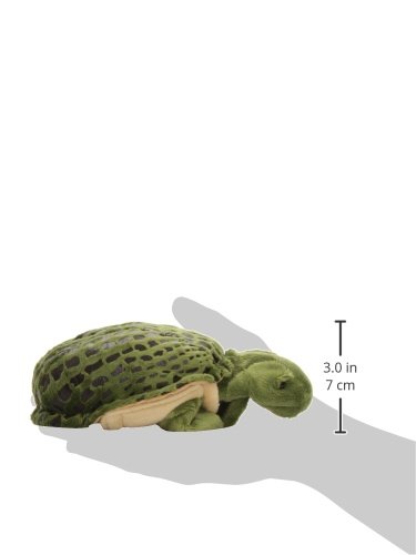 267263_5 267263_5