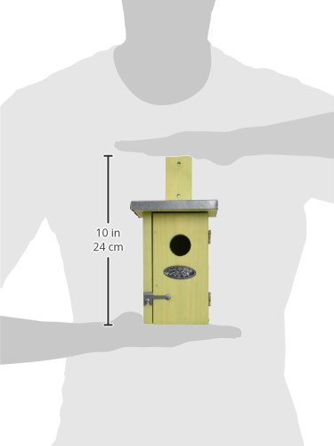 Esschert Fallen Fruits NKN Wren Nest Box, natural, Light - Image 3