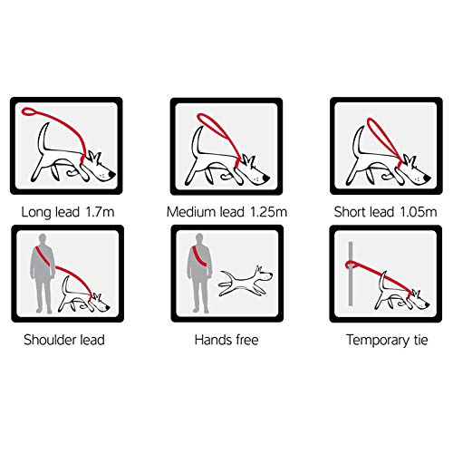 Red Dingo Multi-Purpose Dog Lead Classic, Purple, Large 20mm, Medium - Image 3