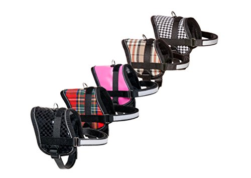 Karlie Teeny Weeny - Harnais Noir 15 Mm X 26-35 Cm, Schwarz/26-35cm, B: 15 mm - Image 2
