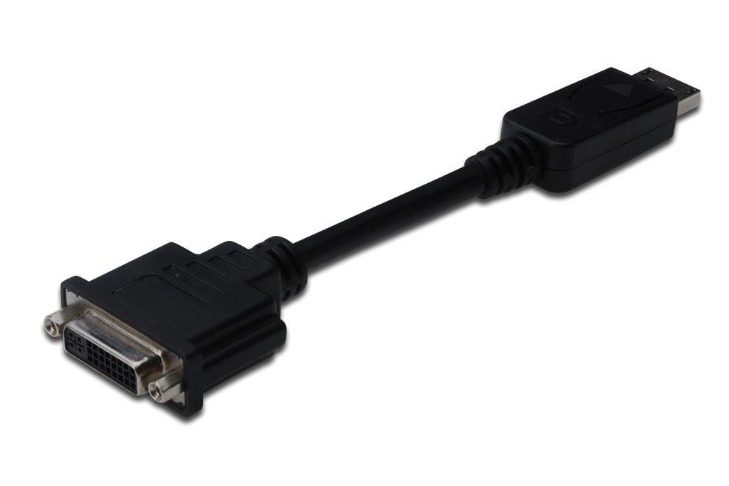 DIGITUS Assmann 340409 LCD/Display Port Adapter Cable DisplayPort to DVI 24 + 5 Pin Male to Female 0.2 m with Latch
