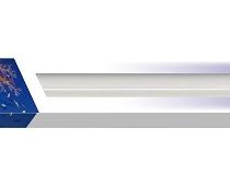Wave Actinic Power Lamp T5, 54 W