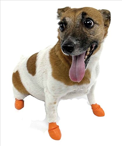 Pawz Dog - Dog Boots Oranges, X Small - Image 2