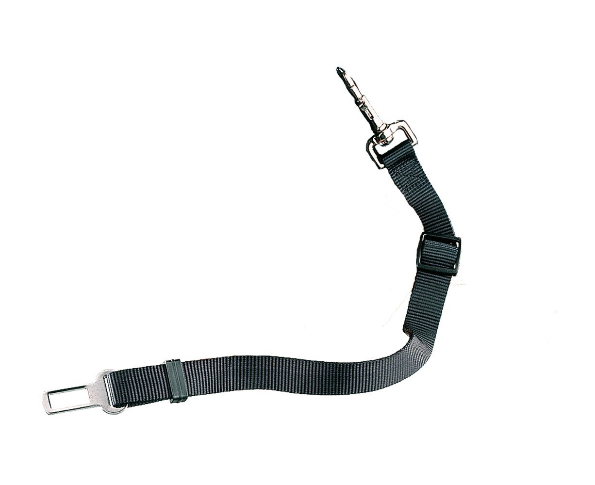 Nobby Safety Belt, schwarz - Image 2
