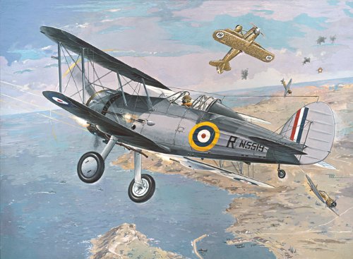 Roden 405 Model Kit Gloster Sea Gladiator, White, 1/48