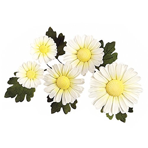 PME JEM Daisy Centre Stamp Cutters, Set of 6,White,9 x 1 x 16 cm - Image 3