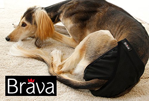 FINNERO BRAVA Washable Wrap-Around Dog Hygiene Pants black, Dog Diaper, Incontinence (size M) - Image 3