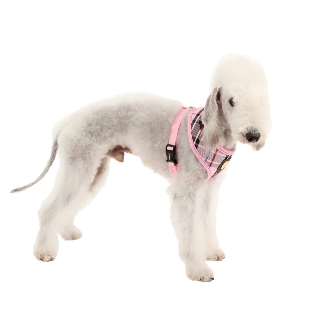 Puppia Junior Harness, Small, Pink - Image 4