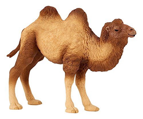 Papo, Realistic Bactrian Camel Figure Toy for Kids, Ages 3+, Wild Life Collection, Educational Play Exotic Animals