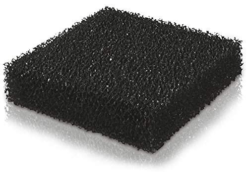 Jewel Carbon Sponge Jumbo, Schwarz, XL / 8.0 / Jumbo