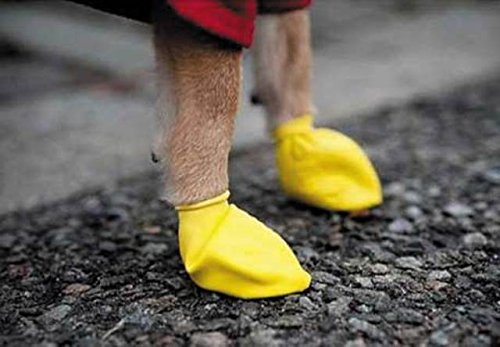 Pawz Dog - Yellow Dog Boots, 1017, XX Small - Image 3