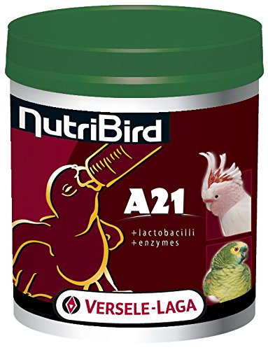 a21 bird food