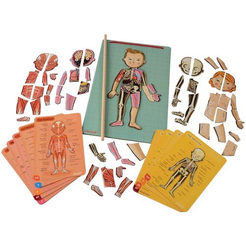 Janod Bodymagnet Educational Human Body Game, Anatomy, Organs, Skeleton, Muscles, 76 Magnetic Pieces, From 7 Years Old