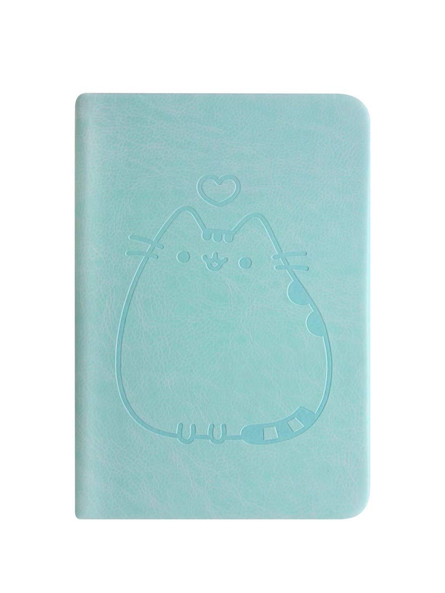 Pusheen (Love) A6 Pocket Premium Notebook, Torquise