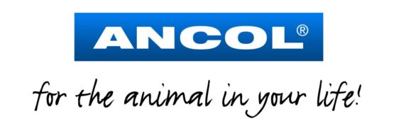 Ancol Nylon Couple 30cm x 20mm - Image 2
