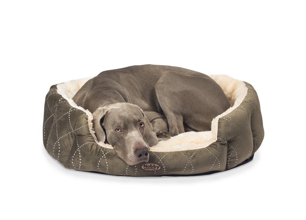 Nobby Comfort Bed Ceno, 55 x 50 x 21 cm, Beige,Brown, 55 x 50 x 21 cm (L x W x H)