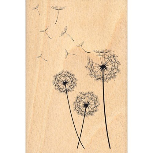 Florilèges Design FHA213012 Gentle Breeze Scrapbooking Stamp 15 x 10 x 2.5 cm Beige, 15 x 10 x 2,5 cm