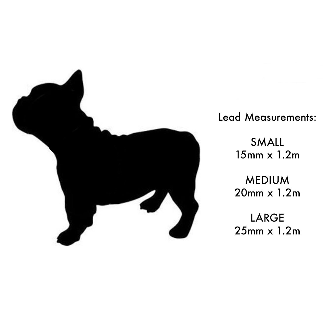 Red Dingo Designer Dog Lead, White Spots on Red (25mm x 1.2m) L - Image 4