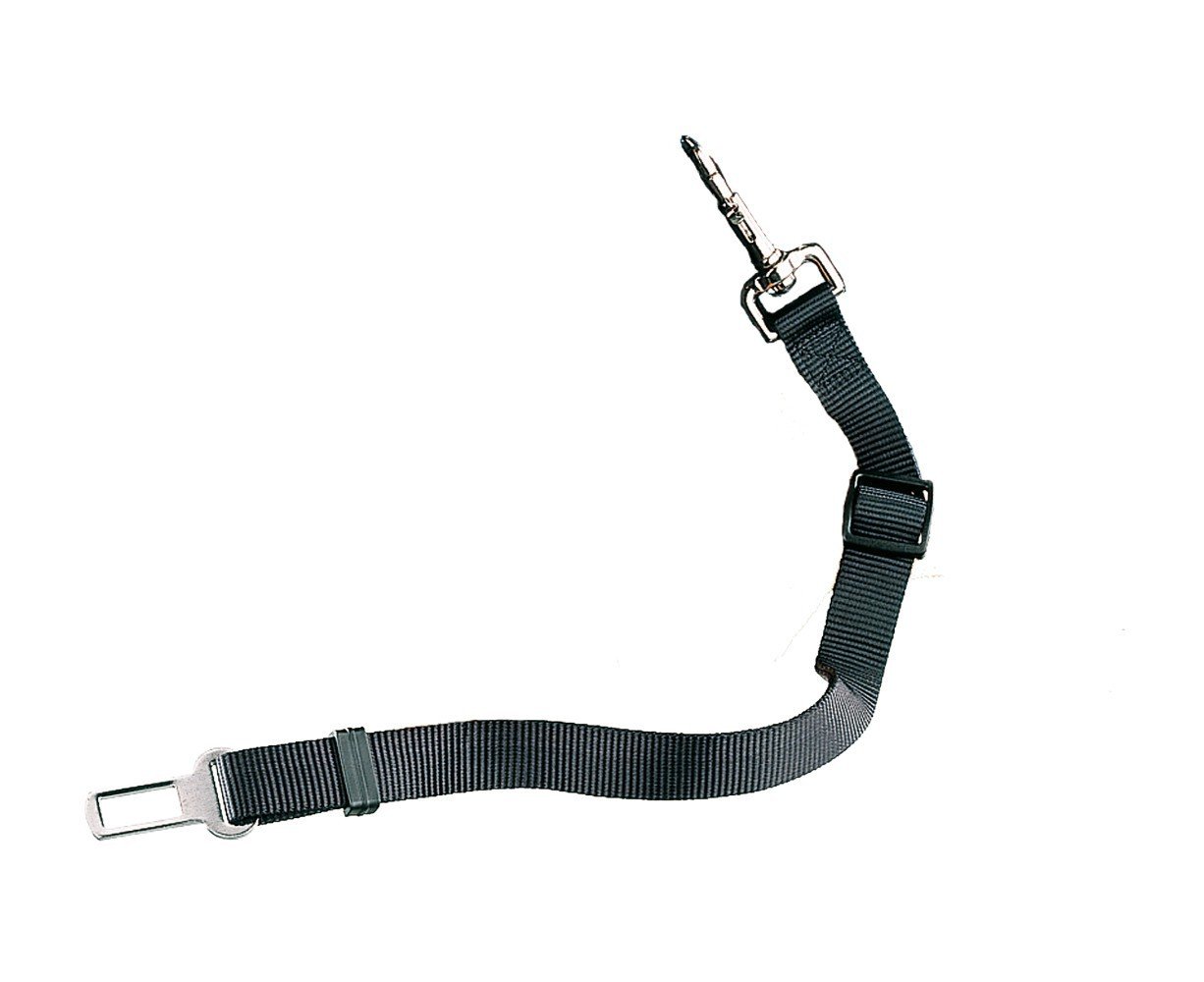 Nobby Safety Belt, schwarz