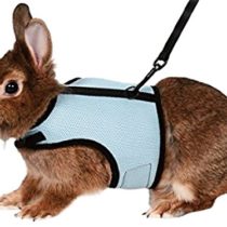 Trixie 61513 Harness for Small Animals for Rabbits Nylon 14 - 19 cm / 25 - 32 cm (Assorted Colors)