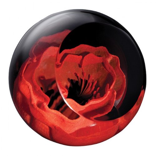 Caithness Glass Remembrance Poppy Paperweight, Multi-colour