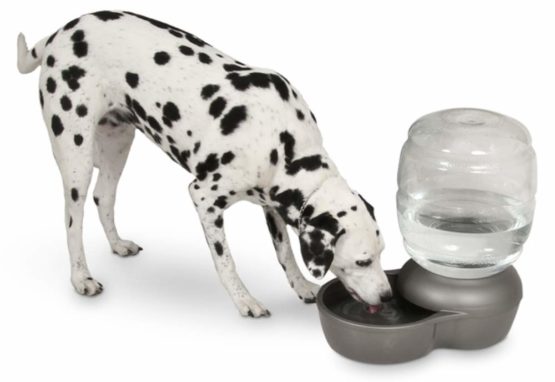 Petmate Replendish Waterers with Microban, 15 Litre, White - Image 2