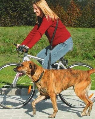 Trixie Bicycle and Jogging Lead, 25 mm, Black, Länge: 1,00 - 2,00 m, Breite: 25 mm