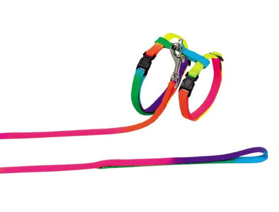 Nobby Rainbow Cat Set Toy