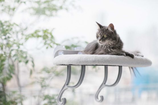 K&H Universal Mount Kitty Sill, Fleece