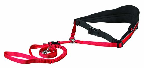 Waist Belt with Lead for Medium-Sized and Large Dogs
