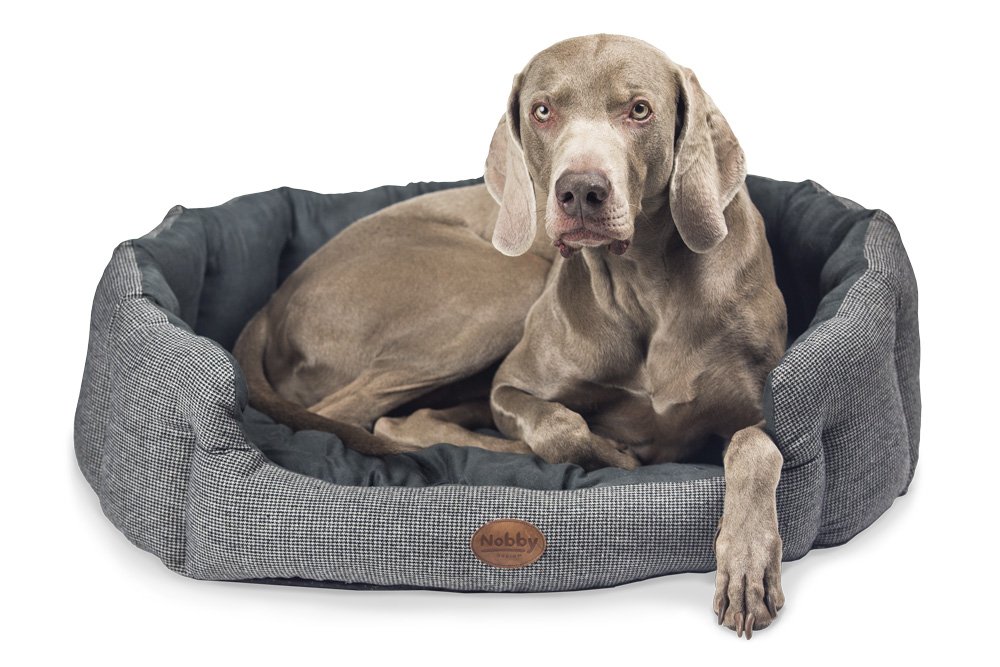 Nobby Josi Comfort Oval Dog Bed, 55 x 50 x 21 cm, Grey, 55 x 50 x 21 cm (L x W x H)