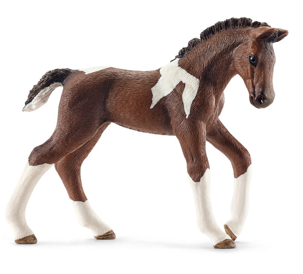 SCHLEICH 13758 Trakehner Foal, from 3 years FARM WORLD - figurine, 2 x 9 x 7 cm, Braun, 3.9 inches x 3.9 inches x 2.8 inches