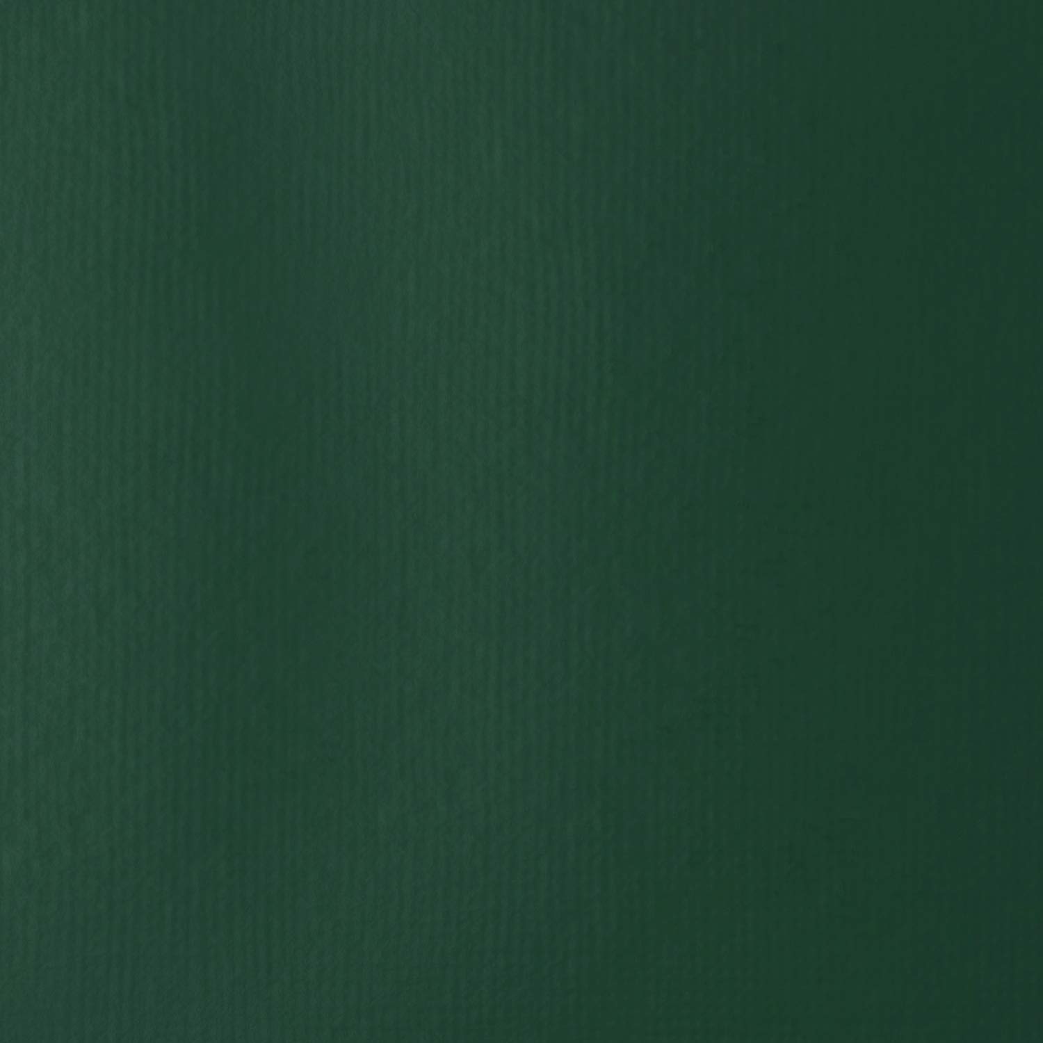 Liquitex Special Release Collection, Heavy Body Acrylic Paint, Muted Green, 3.3 x 4.8 x 14.3 cm, 1040501 - Image 3