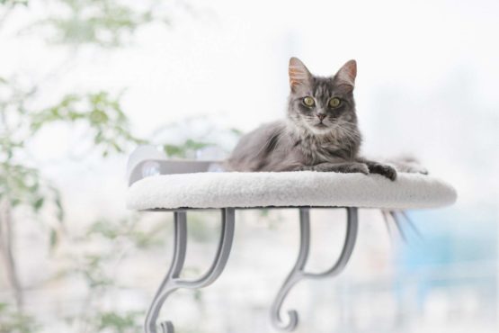 K&H Universal Mount Kitty Sill, Fleece - Image 2