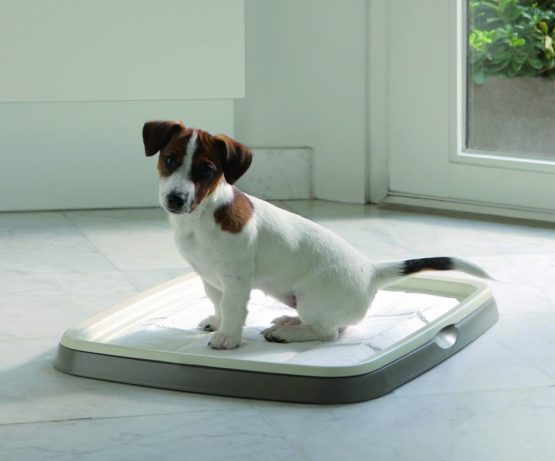 Savic Puppy Trainer Refill 30 Pads Medium 45 X 30 Cm - Image 2