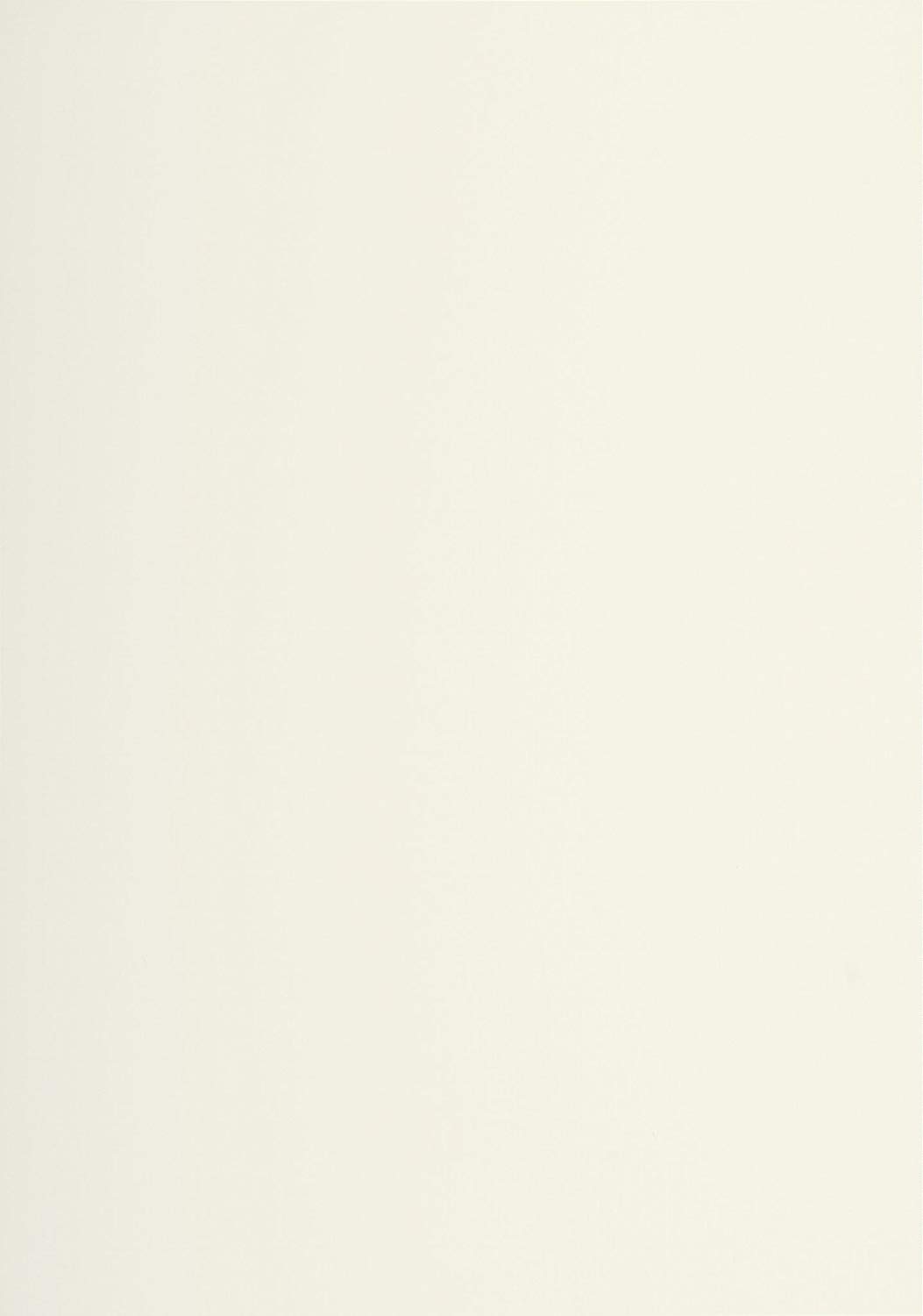 Lalo 47216L, Verge De France. Pack of 50 Sheets. Size: A4 21x29.7 cm 100g, Laid de France, Ivory, Lined, Correspondence - Image 2