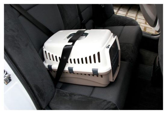 Kerbl Transport Box Expedion with Plastic Door, 45 x 30 x 30 cm, Cream/ Taupe - Image 3