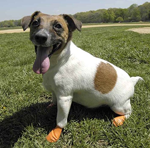 Pawz Dog - Dog Boots Oranges, X Small - Image 3