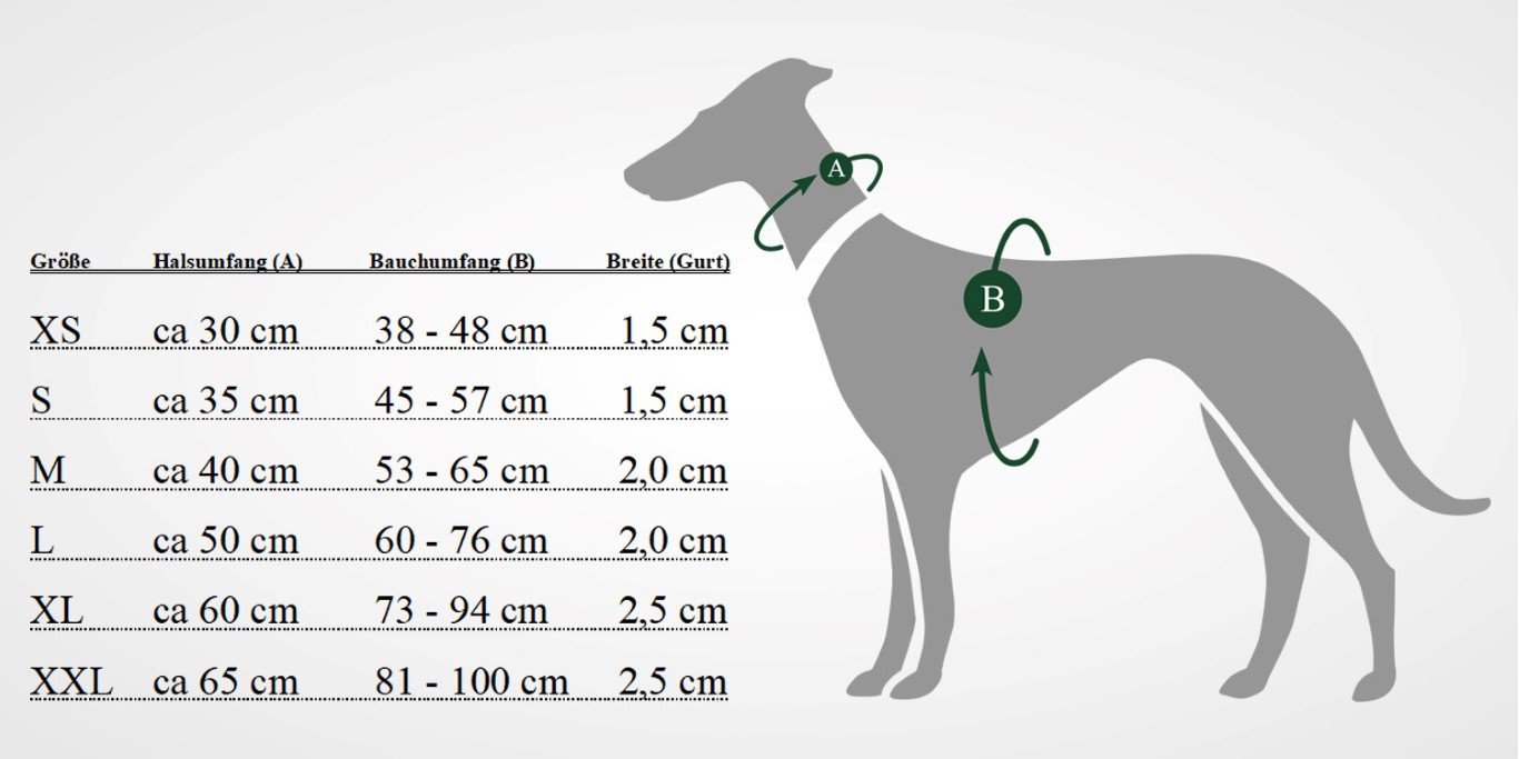 HUNTER NEOPREN dog harness, nylon, padded with neoprene, for sport and leisure,black / gray, nylon, neoprene,45-57,S - Image 3
