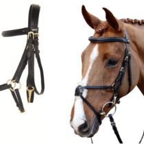 HKM Riding Bridle - Mexican Style with Lambskin Padding - Warm-Blooded Brown