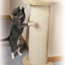 Trixie 4350 Lorca Scratching Post 72 cm Beige