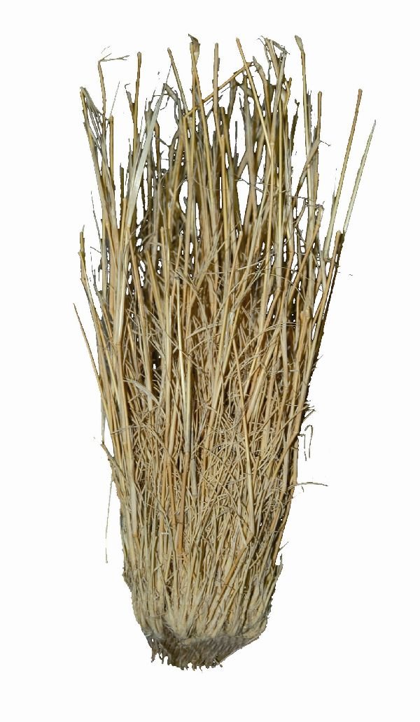 Lucky Reptile DLG 01 Grass bundle: approx.25 - 40 cm