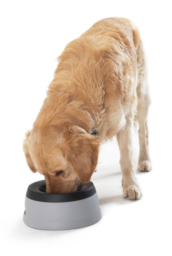 Hunter Road Refresher 44442 Travel Bowl 1.4 L - Image 2