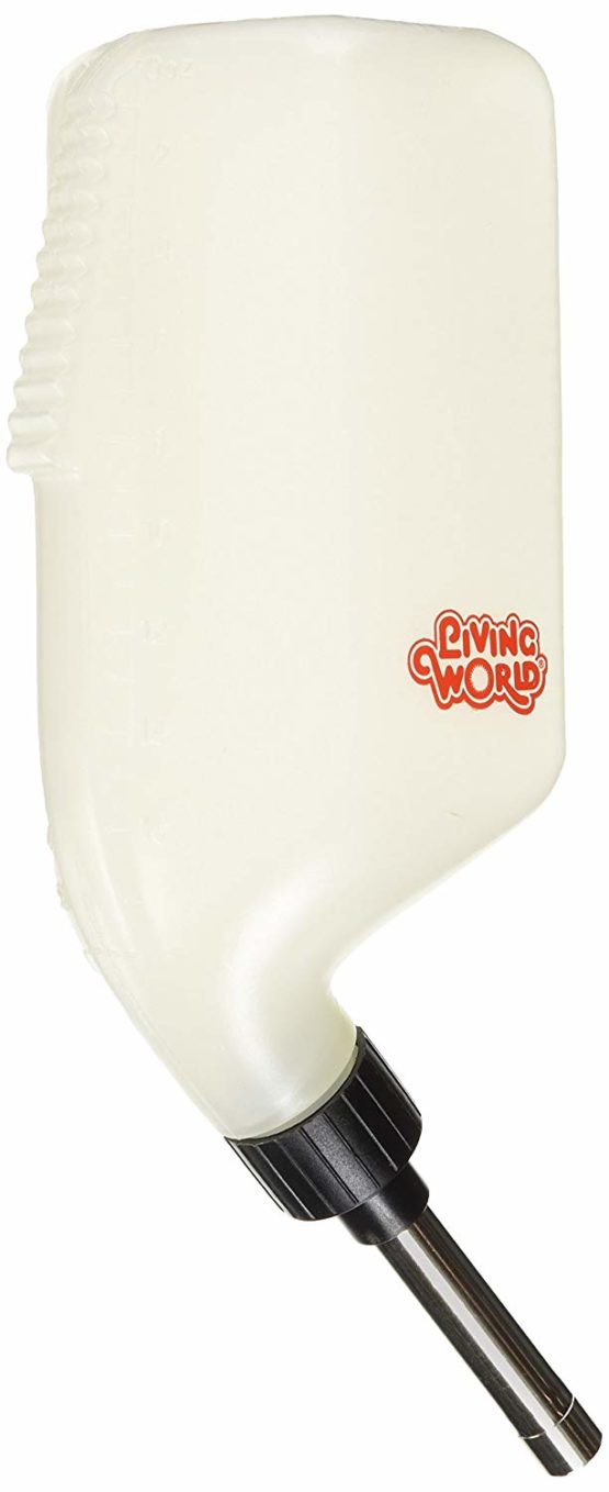 Living World Secure Water Bottle, Large, 500 ml